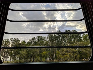 train image